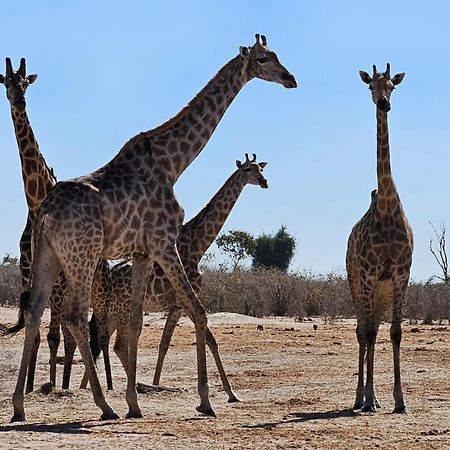 Xhabe Safari Lodge Chobe Muchenje 외부 사진