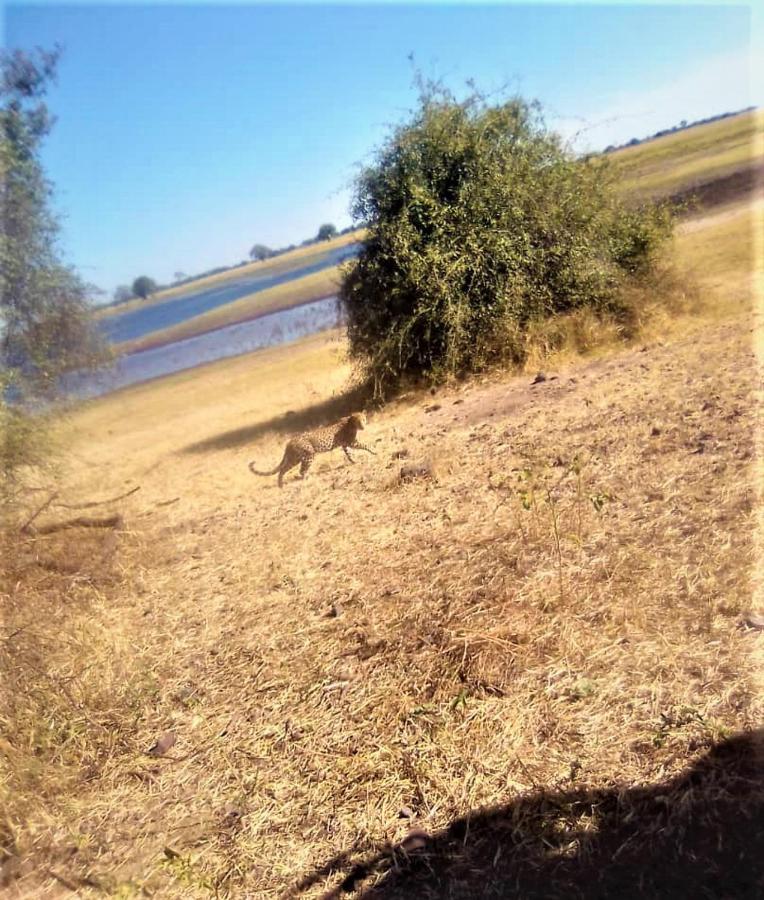 Xhabe Safari Lodge Chobe Muchenje 외부 사진